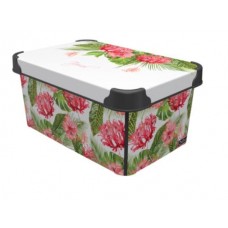 Коробка з/к 5л Botanic 6709286 Qutu Style Box