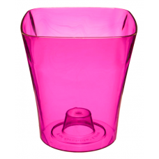 " Орхідейниця 13 малинова " Польща