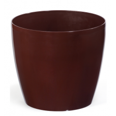 Магнолія 210 мокка горщик