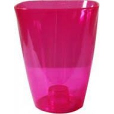 " Орхідейниця 15 малинов " Польща