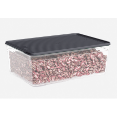 Контейнер Smart 4,3л 30933 292x195x103mm Dunya (12)