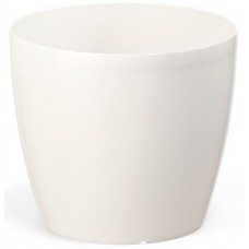 Магнолія 360 білий перлам.горщик